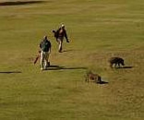 Skukuza Golf Course - Kruger Park