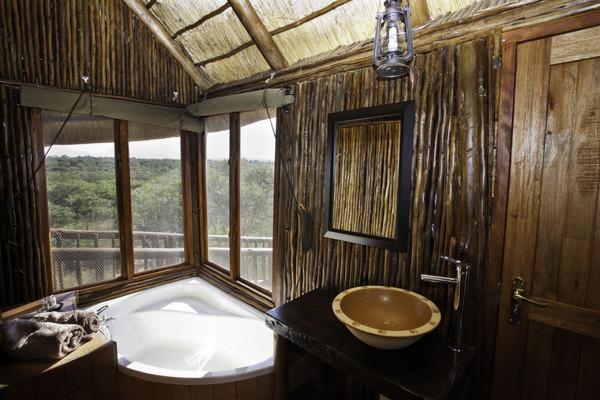 Bona Ntaba Self Catering Tree Houses - 134176