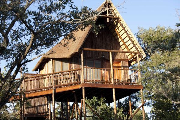 Bona Ntaba Self Catering Tree Houses - 134179