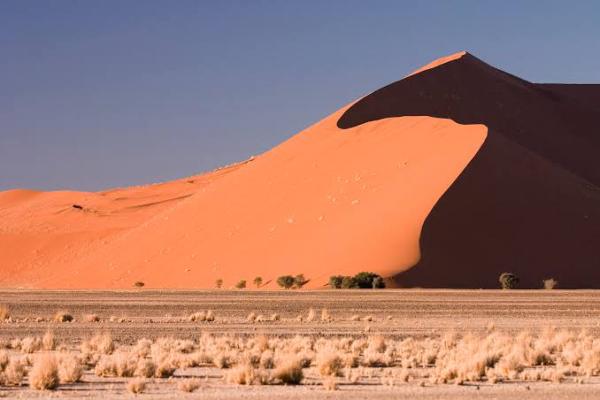 Namibia Visitors Information - 135304