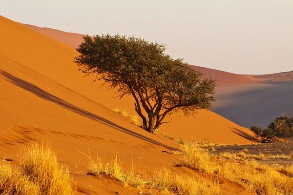 Namibia Visitors Information - 135305