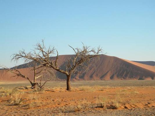 Namibia Visitors Information - 135306