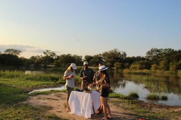 Little Africa Safari Lodge - 136305