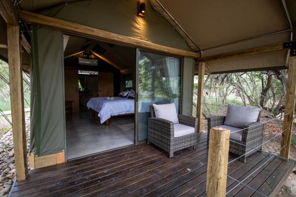 Little Africa Safari Lodge - 136309