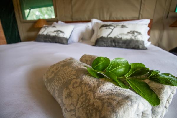 Little Africa Safari Lodge - 136310