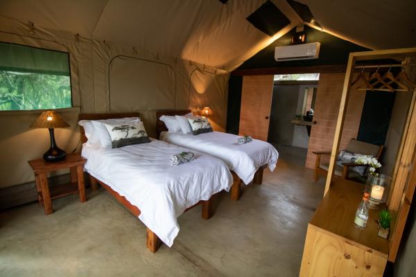 Little Africa Safari Lodge - 136313