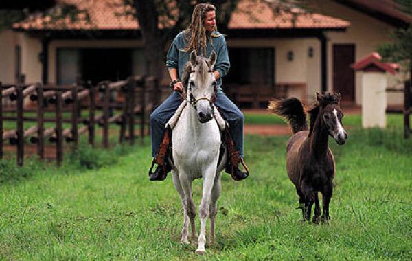 Outride with Arabian mare 