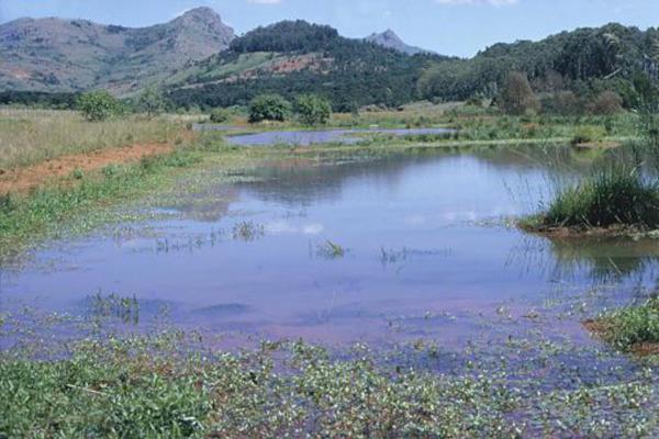 Mlilwane Wildlife Sanctuary - 136540