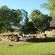 Mlilwane Wildlife Sanctuary - 136546 Mlilwane Wildlife Sanctuary - 136546