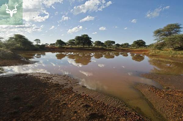 Mokala National Park - 136795