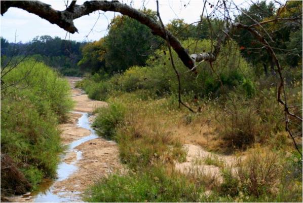 Chisomo Safari Camp - River view