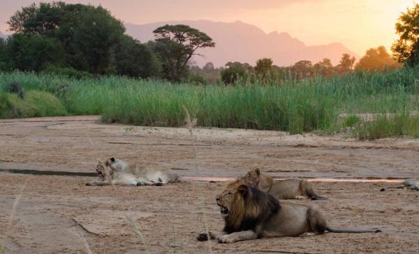 Shiduli Private Game Lodge - view of sunset one Karongwe