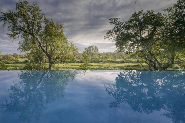 Becks Safari Lodge - view