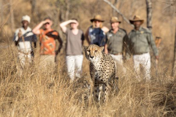 Kuname Lodge -safari