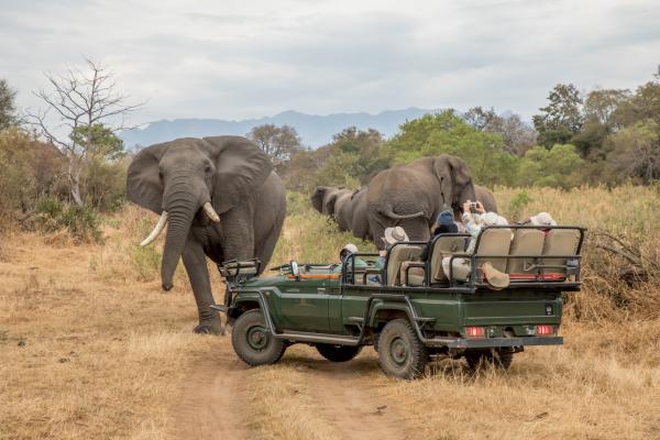 Kuname Lodge - safari big 5