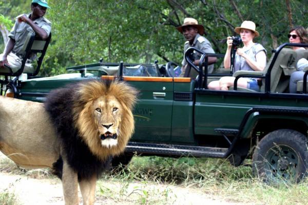 Karongwe River Lodge - safari