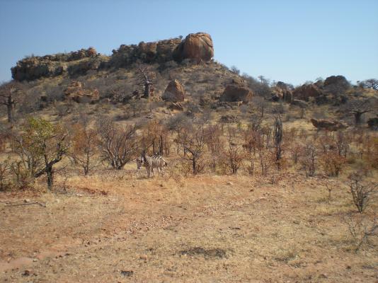 Mapungubwe National Park