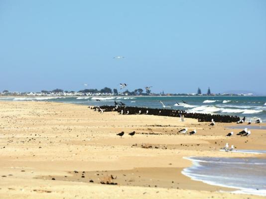 Wamakersvlei Beach Farm - 137876