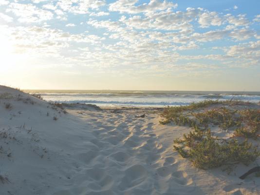 Wamakersvlei Beach Farm - 137894