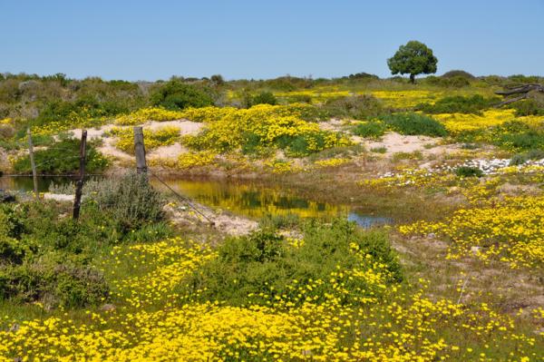 Wamakersvlei Beach Farm - 137895