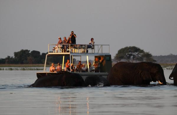 Chobe River Camp - 138013