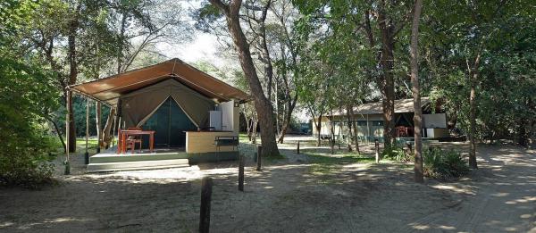 Zambezi Mubala Camp - 138037