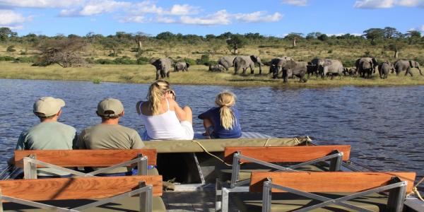 Chobe River Campsite - 138080