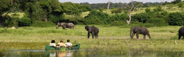 Chobe River Campsite - 138082