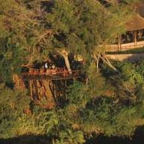 Namushasha River Lodge - 138092