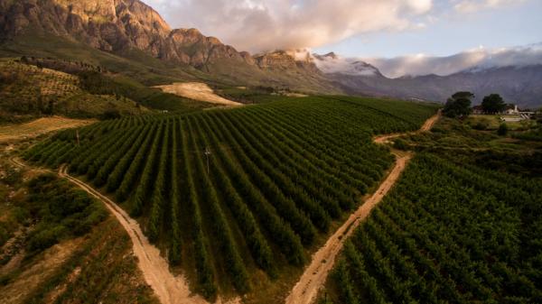 Tulbagh Mountain Manor