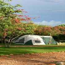 Etosha Safari Campsite - 138280