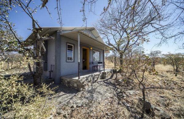 Etosha Safari Camp - 138295