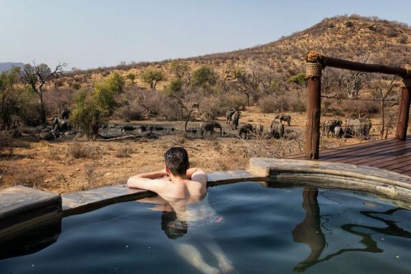 Impodimo Game Lodge - 138348