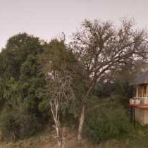 Dulini River Lodge - 138490