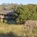 Dulini River Lodge - 138502