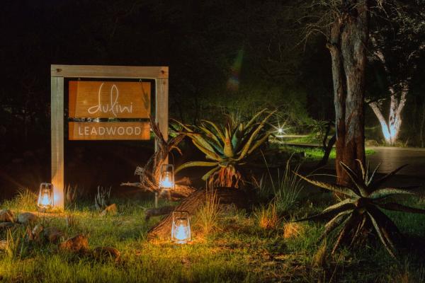 Leadwood Lodge - 138511