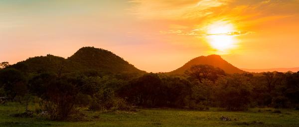 Ulusaba Rock Lodge - 138646