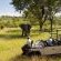 Ulusaba Rock Lodge - 138655