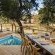 Ulusaba Safari Lodge - 138690