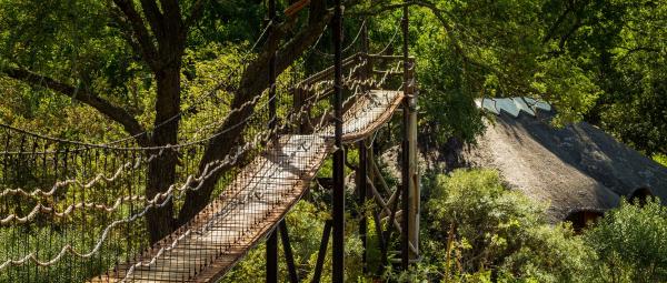 Ulusaba Safari Lodge - 138696