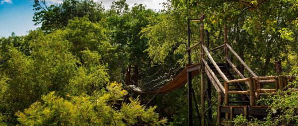 Ulusaba Safari Lodge - 138697