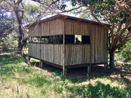Imani Bush House