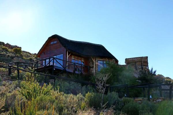 Aquila Private Game Reserve Safari & Spa - 138872