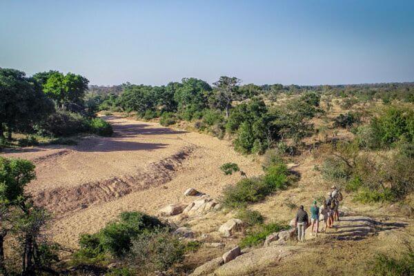 Bateleur Safari Camp - 139346