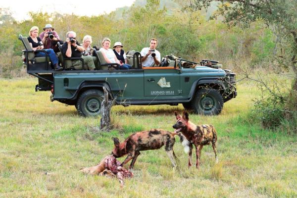 Leopard Hills Private Game Reserve - 139720