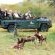 Leopard Hills Private Game Reserve - 139720