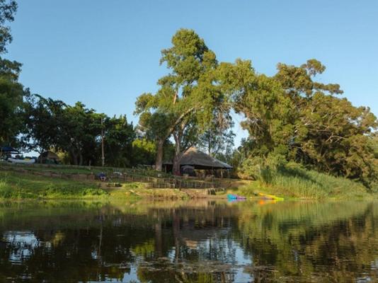 Bonnievale River Lodge - 139893