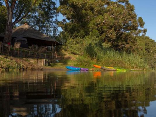 Bonnievale River Lodge - 139896