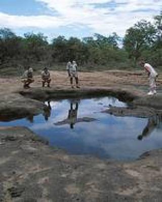 Kruger Park Guided Walks