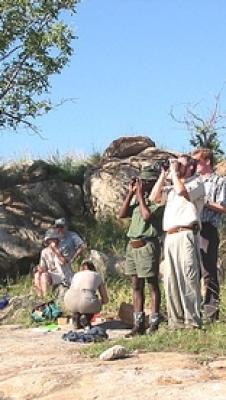 Kruger Park Guided Walks